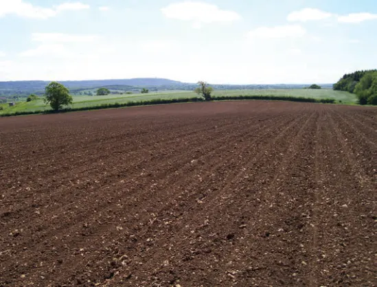 A nice ploughed and rolled field.