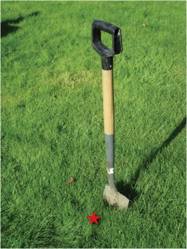 The red star marks the target. Always dig at least 4 inches away.