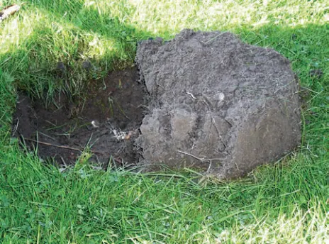 A nicely cut hole that will leave no mess.