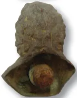 Roman mount - although the “wig” looks 18th century.