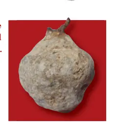 Roman crude lead steelyard weight.