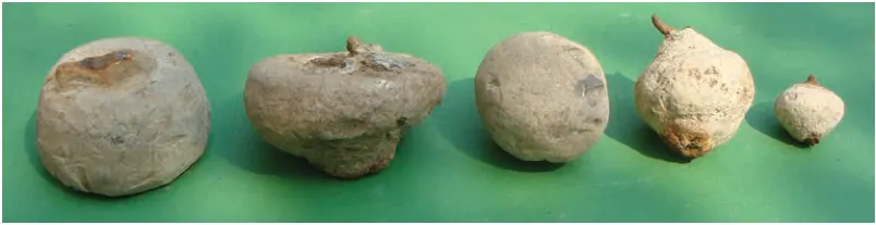 Lead weights of various sizes and shapes.